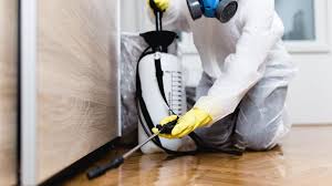 Best Termite Inspection and Treatment  in Fowlerville, MI